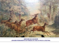 /album/coisinhas-da-casa/ca%c3%a7ador%202-jpg/
